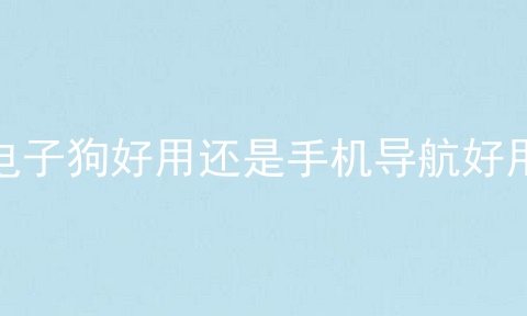 电子狗好用还是手机导航好用