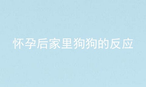 怀孕后家里狗狗的反应