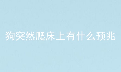 狗突然爬床上有什么预兆