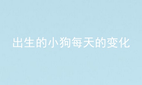 出生的小狗每天的变化