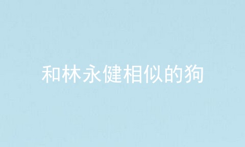 和林永健相似的狗