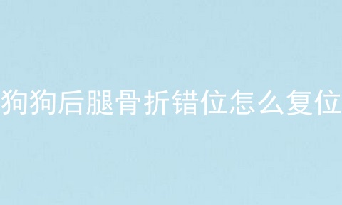 狗狗后腿骨折错位怎么复位