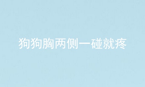 狗狗胸两侧一碰就疼