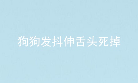 狗狗发抖伸舌头死掉