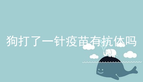 狗打了一针疫苗有抗体吗