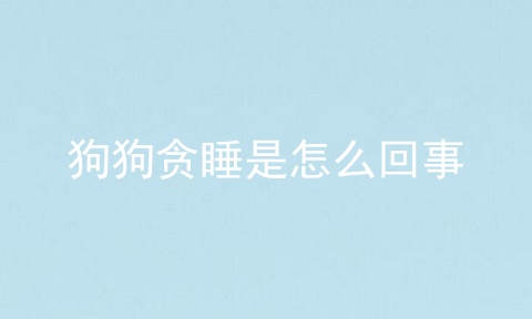 狗狗贪睡是怎么回事
