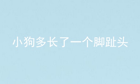 小狗多长了一个脚趾头