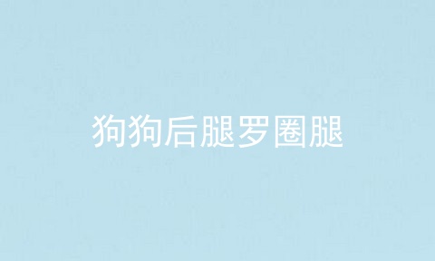 狗狗后腿罗圈腿