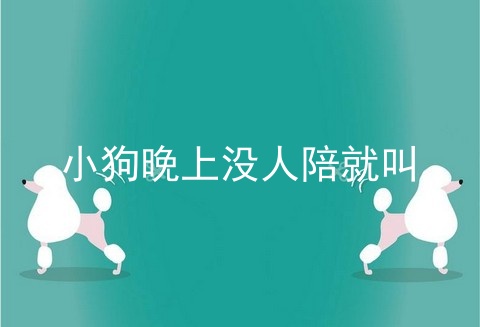 小狗晚上没人陪就叫