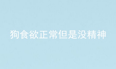 狗食欲正常但是没精神