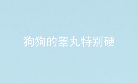 狗狗的睾丸特别硬