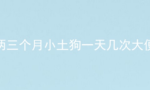 两三个月小土狗一天几次大便