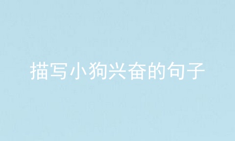 描写小狗兴奋的句子