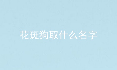 花斑狗取什么名字