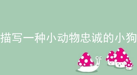 描写一种小动物忠诚的小狗