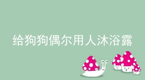 给狗狗偶尔用人沐浴露