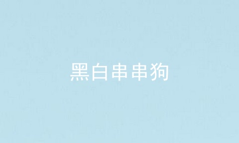 黑白串串狗