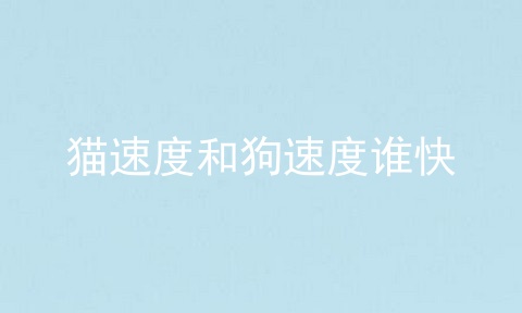 猫速度和狗速度谁快