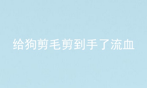 给狗剪毛剪到手了流血