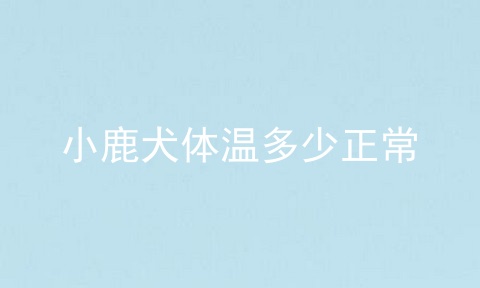 小鹿犬体温多少正常