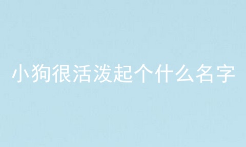 小狗很活泼起个什么名字