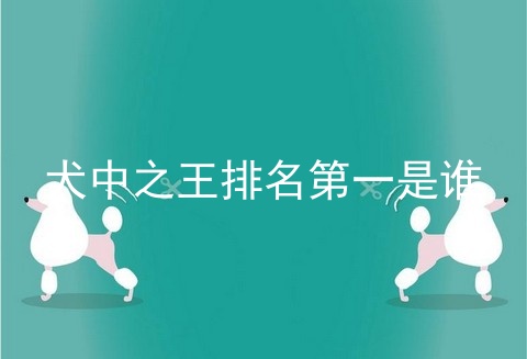 犬中之王排名第一是谁