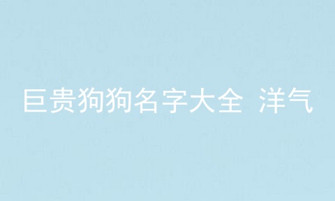 巨贵狗狗名字大全 洋气
