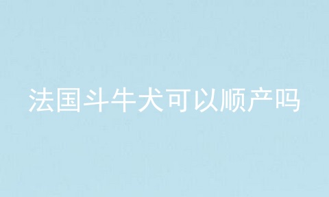法国斗牛犬可以顺产吗