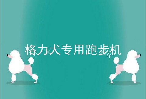 格力犬专用跑步机