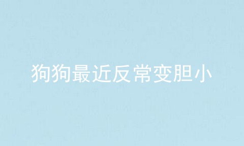 狗狗最近反常变胆小