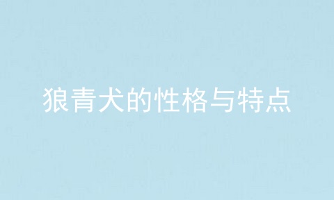 狼青犬的性格与特点