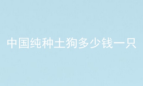 中国纯种土狗多少钱一只