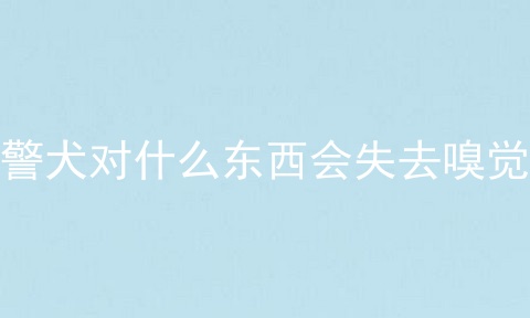 警犬对什么东西会失去嗅觉