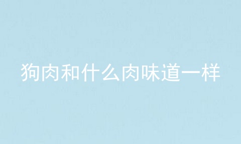 狗肉和什么肉味道一样