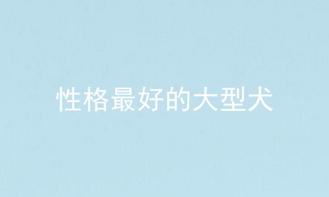性格最好的大型犬