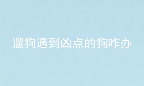 遛狗遇到凶点的狗咋办