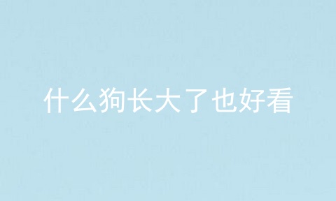 什么狗长大了也好看
