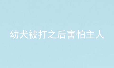 幼犬被打之后害怕主人