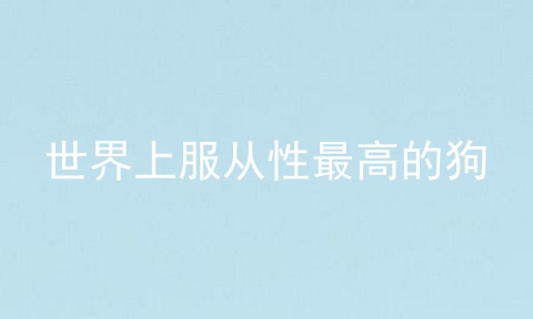 世界上服从性最高的狗
