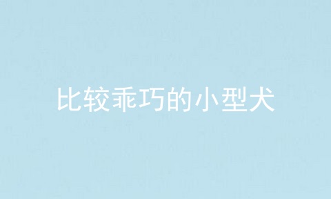 比较乖巧的小型犬