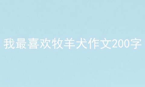 我最喜欢牧羊犬作文200字