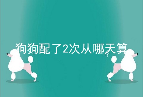狗狗配了2次从哪天算