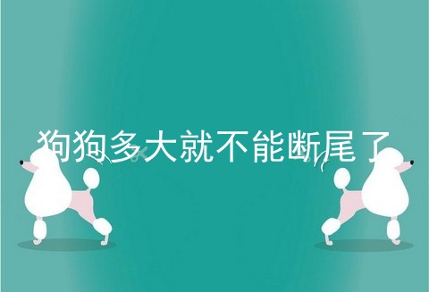 狗狗多大就不能断尾了