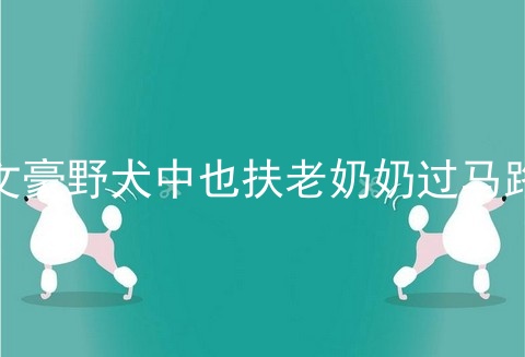 文豪野犬中也扶老奶奶过马路