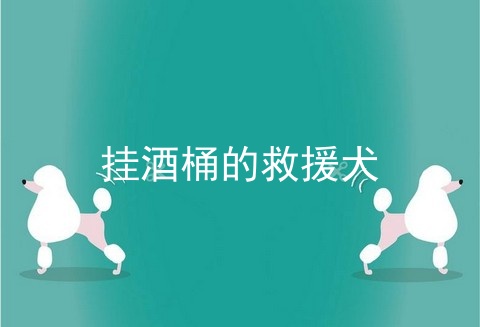 挂酒桶的救援犬