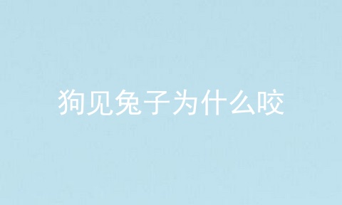 狗见兔子为什么咬