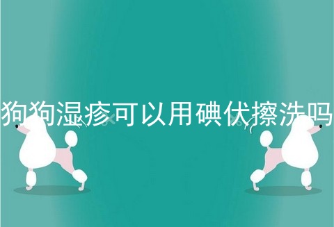 狗狗湿疹可以用碘伏擦洗吗