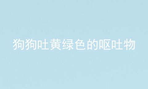 狗狗吐黄绿色的呕吐物