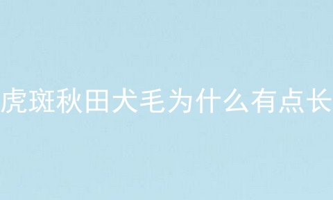虎斑秋田犬毛为什么有点长