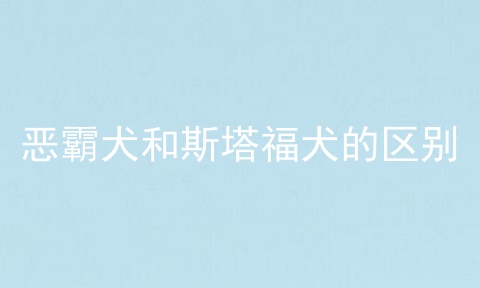 恶霸犬和斯塔福犬的区别